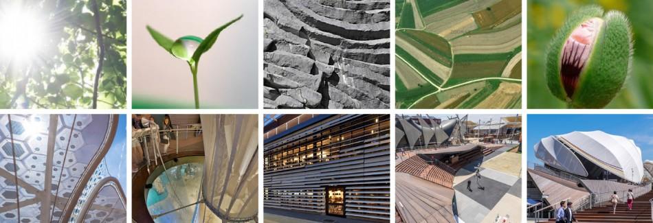 米蘭世博會德國館設計1 米蘭世博會德國館設計1