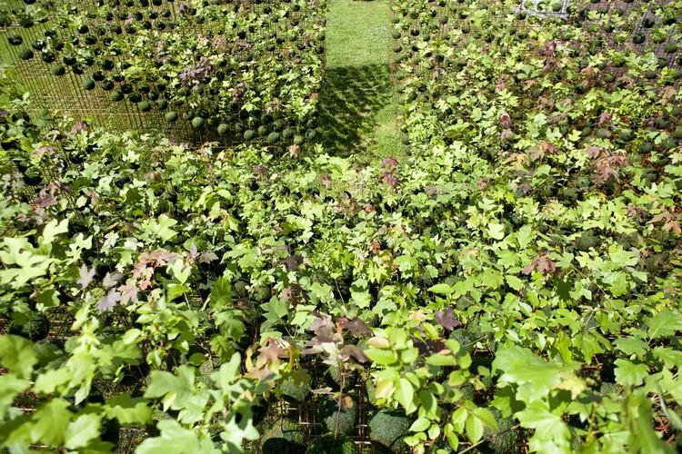 圖片13.jpg 圖片13.jpg